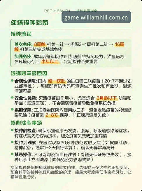 4个威廉希尔app下载实操要点：官网入口、开户与赔率分析一次讲清