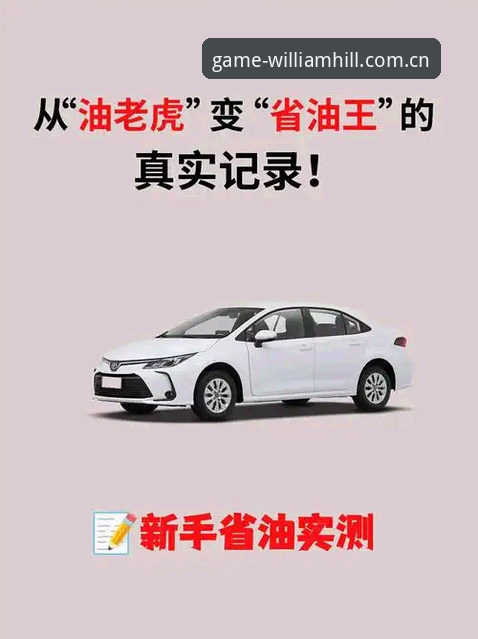 新手实测：威廉希尔客户端安装与威廉希尔开户指南使用心得